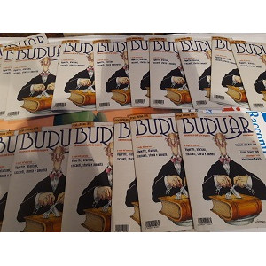 	Racconti nella Rete 2019- Budur versione magazine
